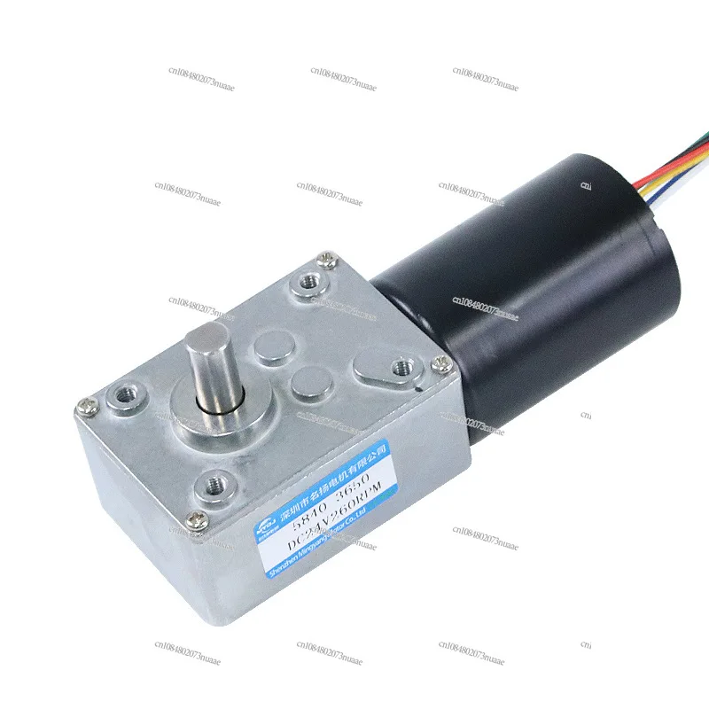 

5840-3650 Worm Gear Brushless DC Geared Motor 12 Volts 24v Miniature Adjustable Low Speed Small Motor