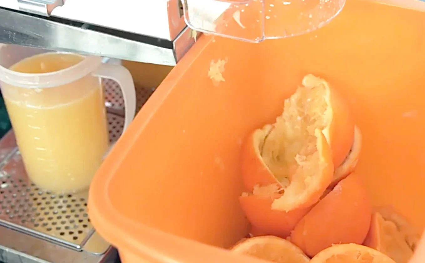 오렌지 시트러스 주스 착즙기 추출기, 오렌지 착즙기 압착기