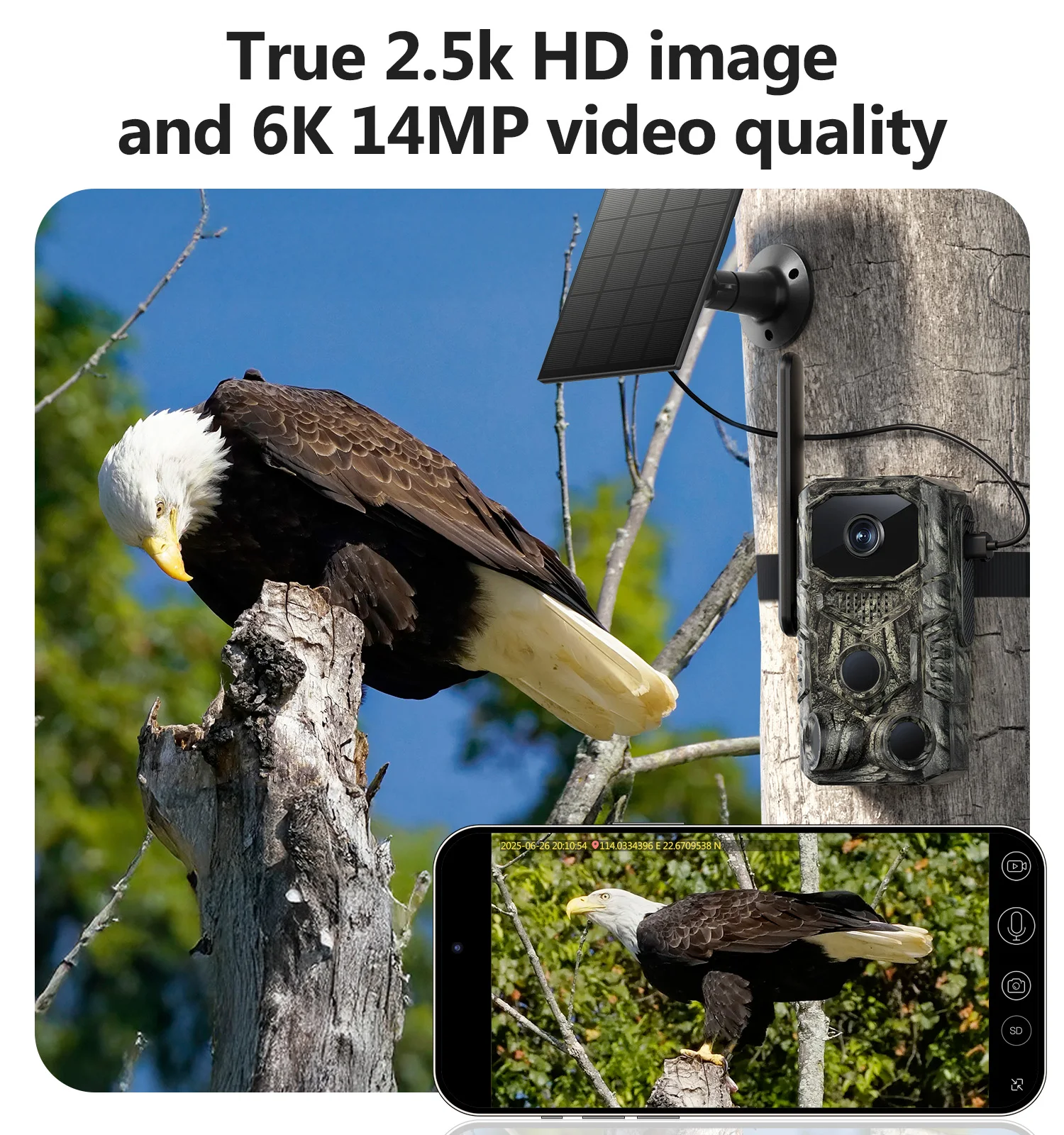 4G LTE Trail Cam: 4K, GPS, Solar Battery, 0.1s Trigger, Motion Act., IP67, Night Vision, SIM, 120° Wide Angle