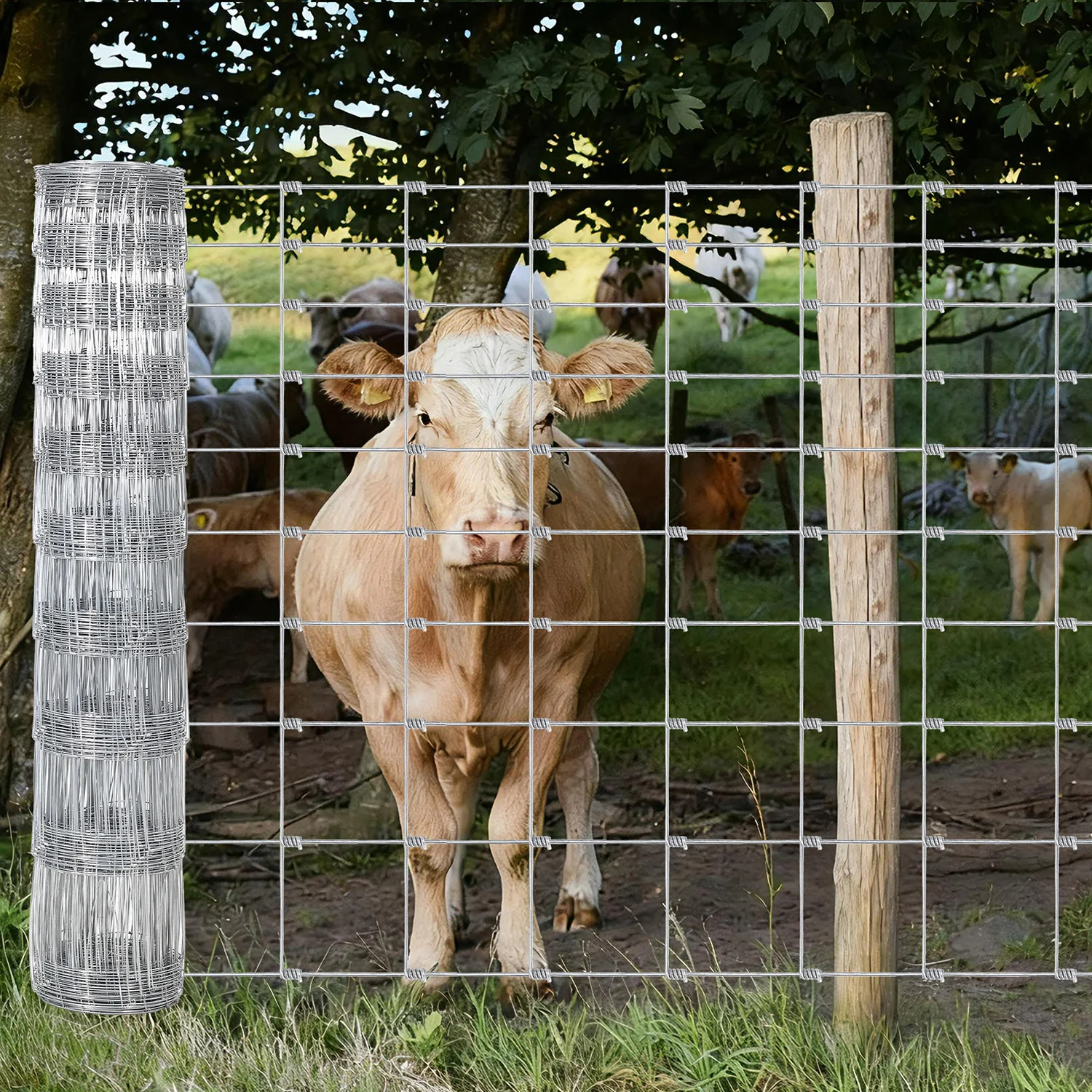 Heavy-Duty Galvanized Livestock Fence Mesh Barrier – High-Zinc Coated Wire Fencing for Cattle, Goats & Deer – 4/5/6ft x 100/328ft
