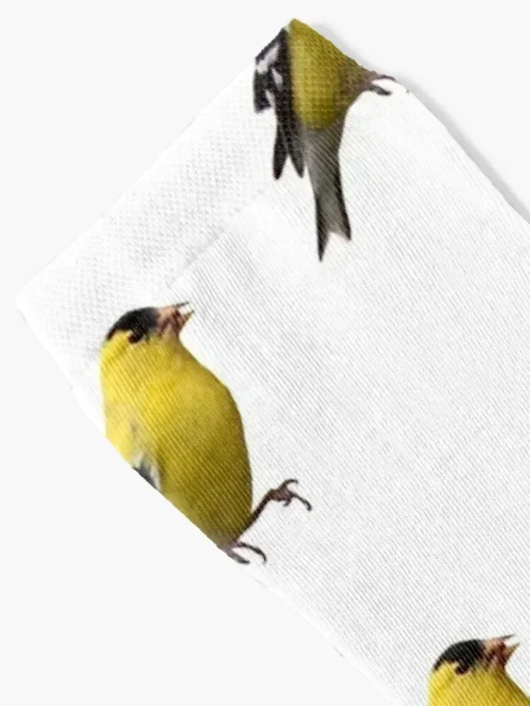 yellow finch Socks professional running designer custom christmas gift Socks Girl Men's