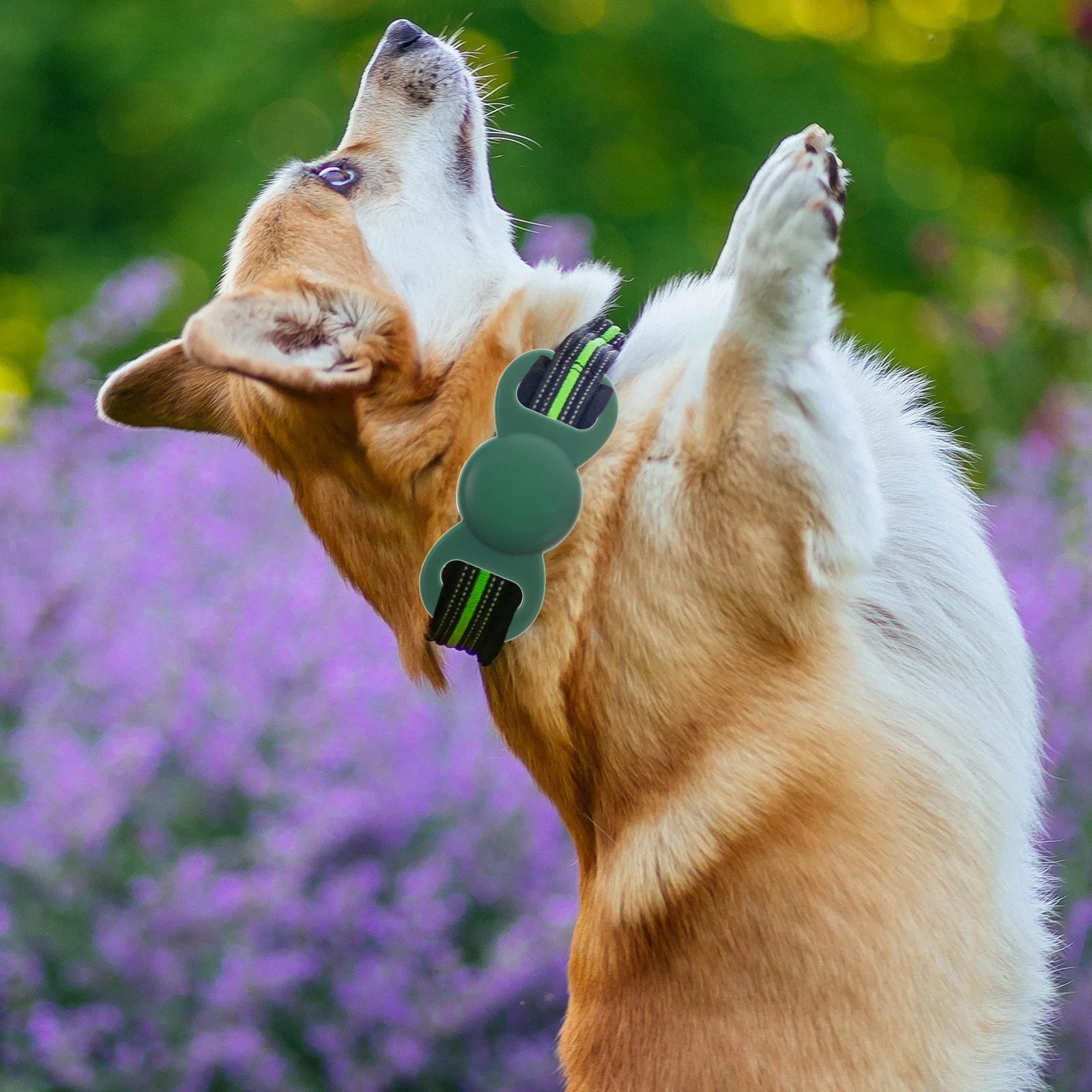 2 قطعة غطاء سيليكون حافظة واقية خفيفة الوزن لجهاز تعقب الحيوانات الأليفة ملحق غطاء حماية صغير مضاد للفقدان
