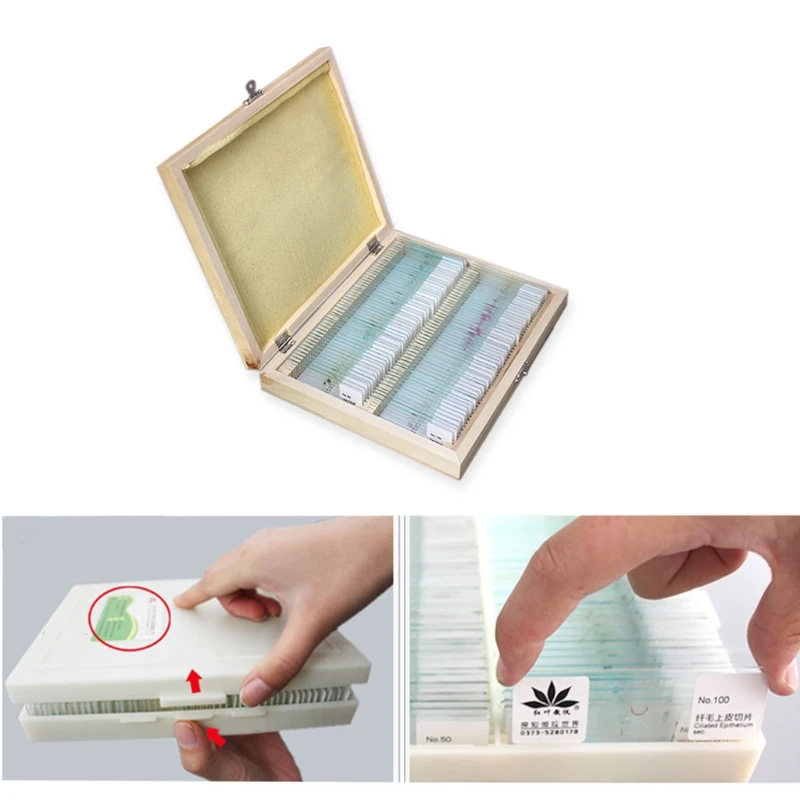 สไลด์กล้องจุลทรรศน์ 25/50/100 ชิ้นเด็กพลาสติกสไลด์กล้องจุลทรรศน์ที่เตรียมไว้ Drop Shipping