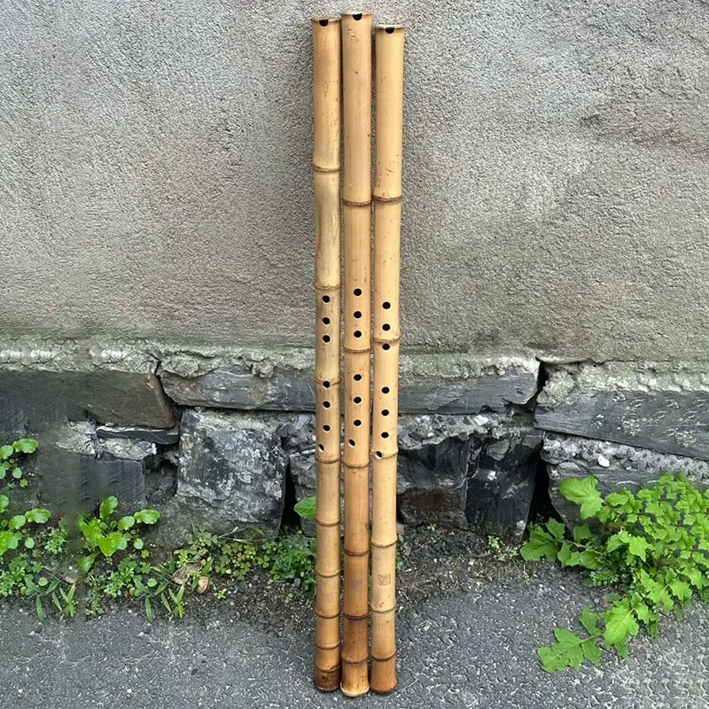 Traditional Dongxiao 8 Hole Professional Xiao Adult Performance Chinese Vertical Bamboo Flute Folk Play Woodwind Instruments