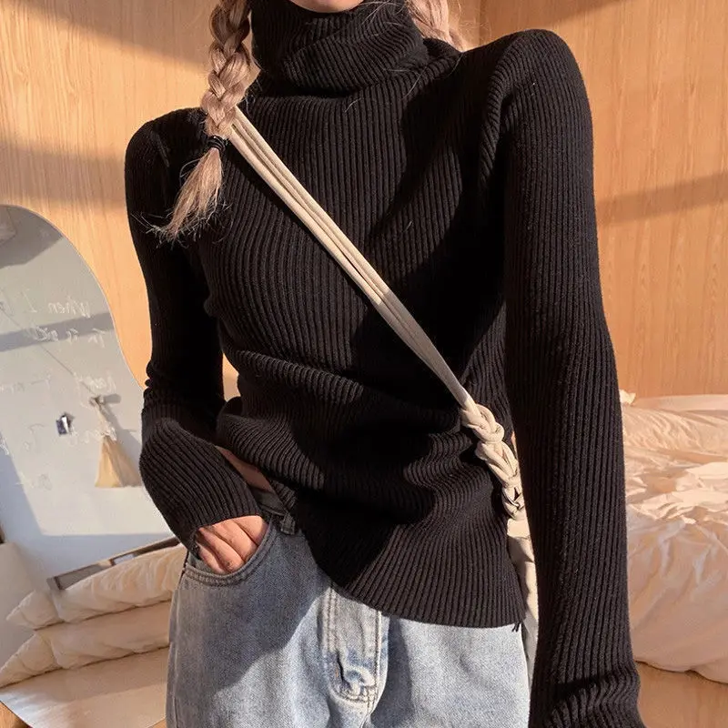 Women Turtleneck Sweaters Autumn Winter Slim Pullover Female Basic Tops Casual Soft Heaps Collar Knit Sweater Soft Warm Jumper