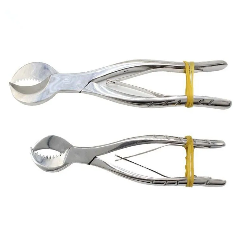 

Dental Plaster Scissors Plaster Forceps Oral Equipment Stainless Steel Durable Large Small Dental Lab Technician Instruments