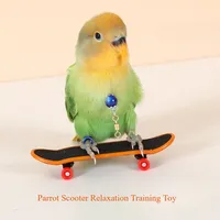 Parrot Scooter Puzzle Interactive Toy Grinding Claw Mini Training Toy Stress Relief