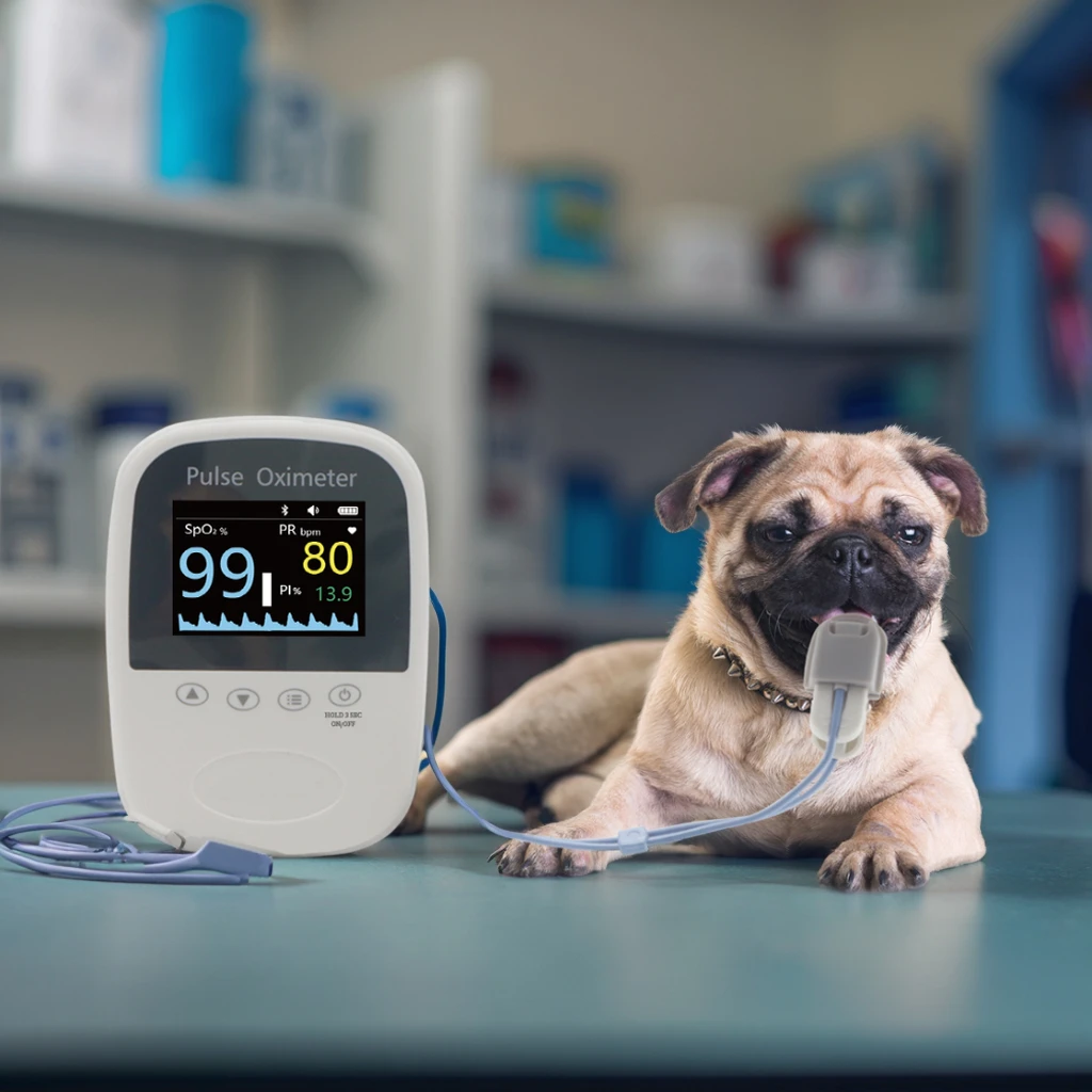 BM1000A-I Veterinary Equipment Handheld Pulse Oximeter for Dogs SpO2 Pulse Rate Monitoring APP Enabled Measurement Data