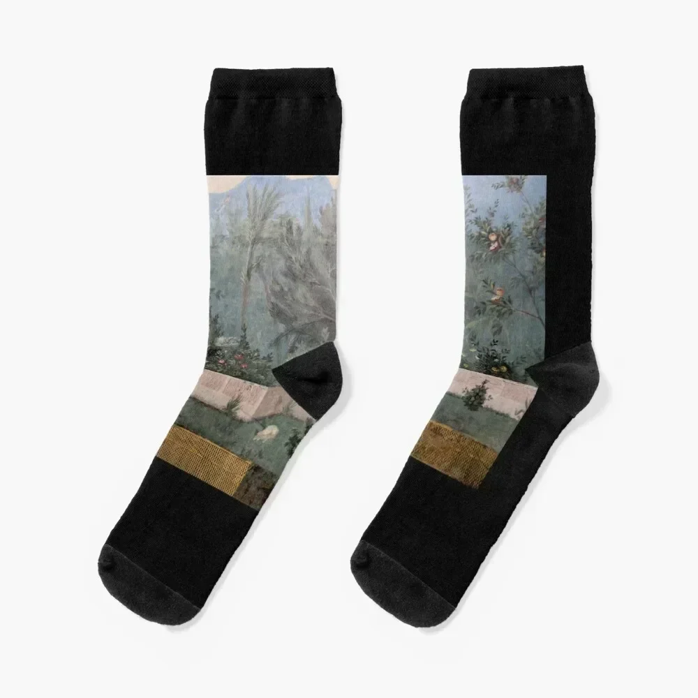 

Garden of Livia - Prima Porta Socks funny gifts Lots compression Socks Ladies Men's