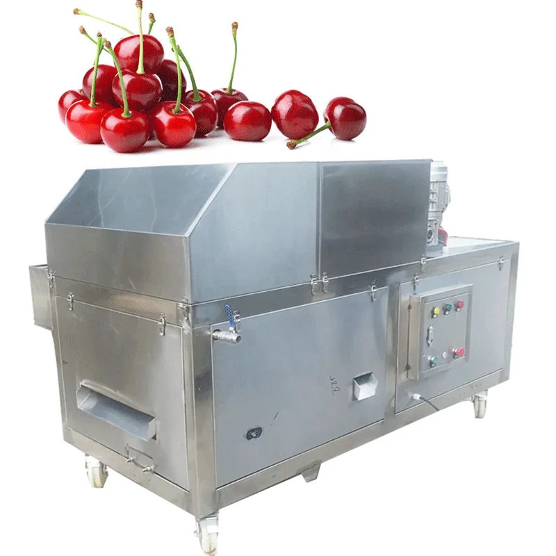 New Type plum Pitting Machine /cherry Pitter /fruit Stoner Machine Cherry Pitting Core Remove Machine