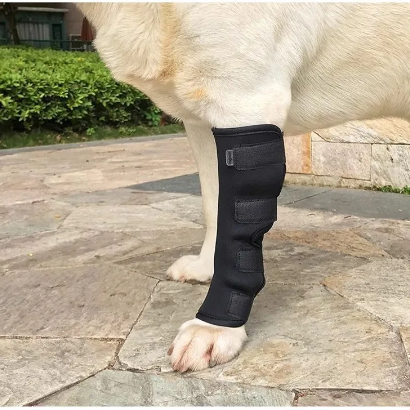 Dog Knee Brace for ACL Recovery Post-Surgery Adjustable Protective Sleeve Outdoor Joint Support Wrap