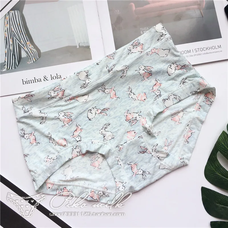 Kawaii Cotton Underwear Sanrio Hellokittys Cinnamoroll Cute Anime Sweet Sexy Sports Style Low Waist Briefs New Birthday Gift