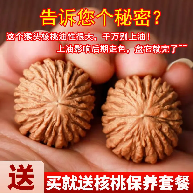 Natural Wild Paired Monkey Head Walnuts Chinese Traditional Wenwan For Hand Rolling Massage Stress Relief Fidget Multiple Sizes