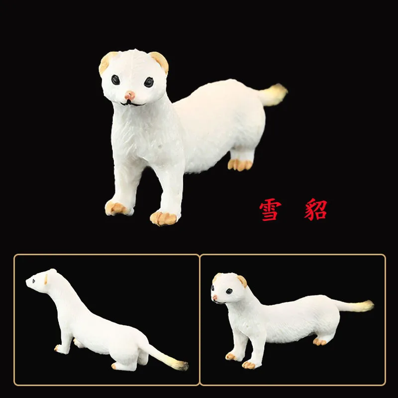 Ferret Cognitive Ornaments Solid  Simulation Animal Toy Wild Animal Model