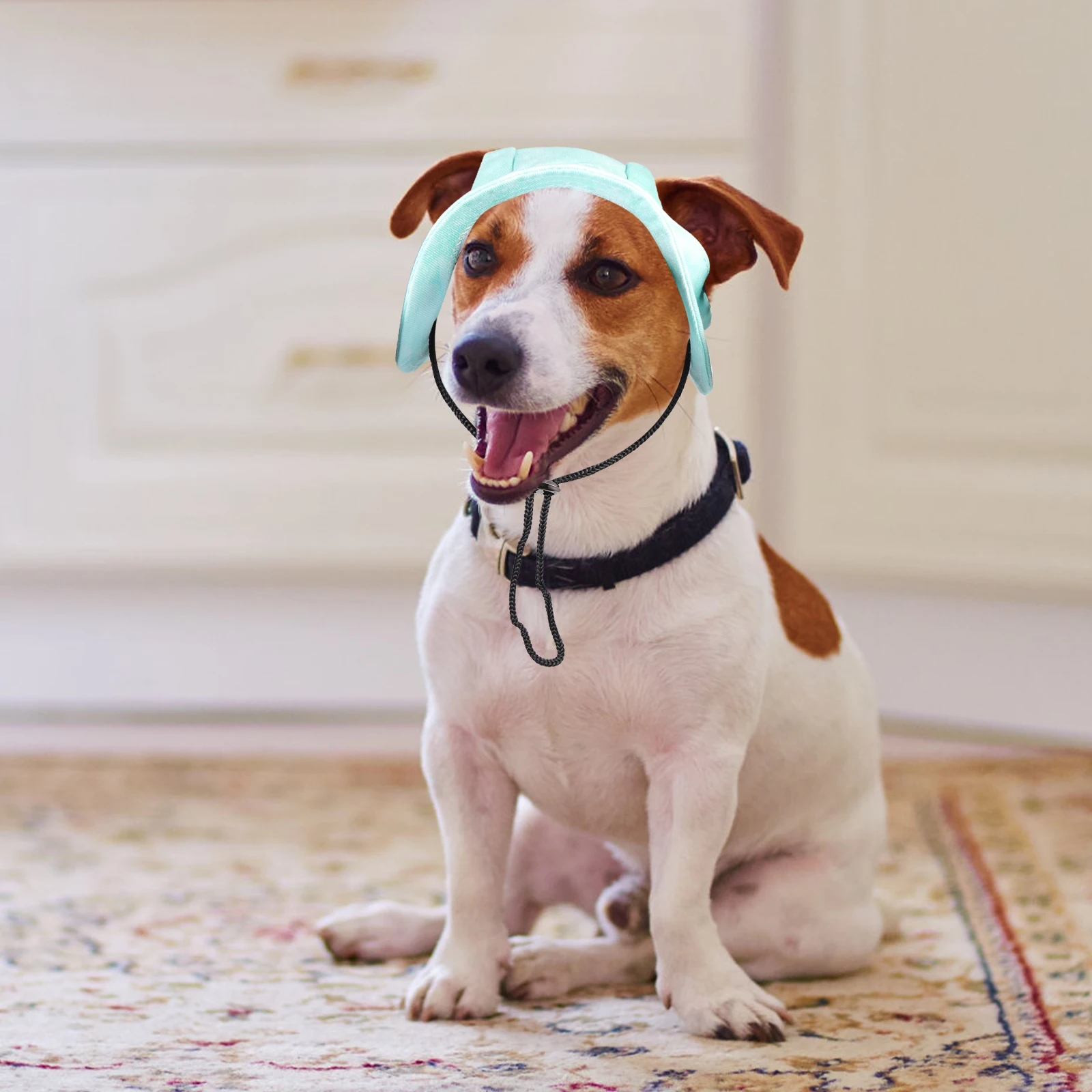 

Baseball Cap Summer Sun Hat for Small Dogs Adjustable Bucket Hat Puppy Hats Dog Headdress Pet Head Decor Sun-Shade Caps Outdoor