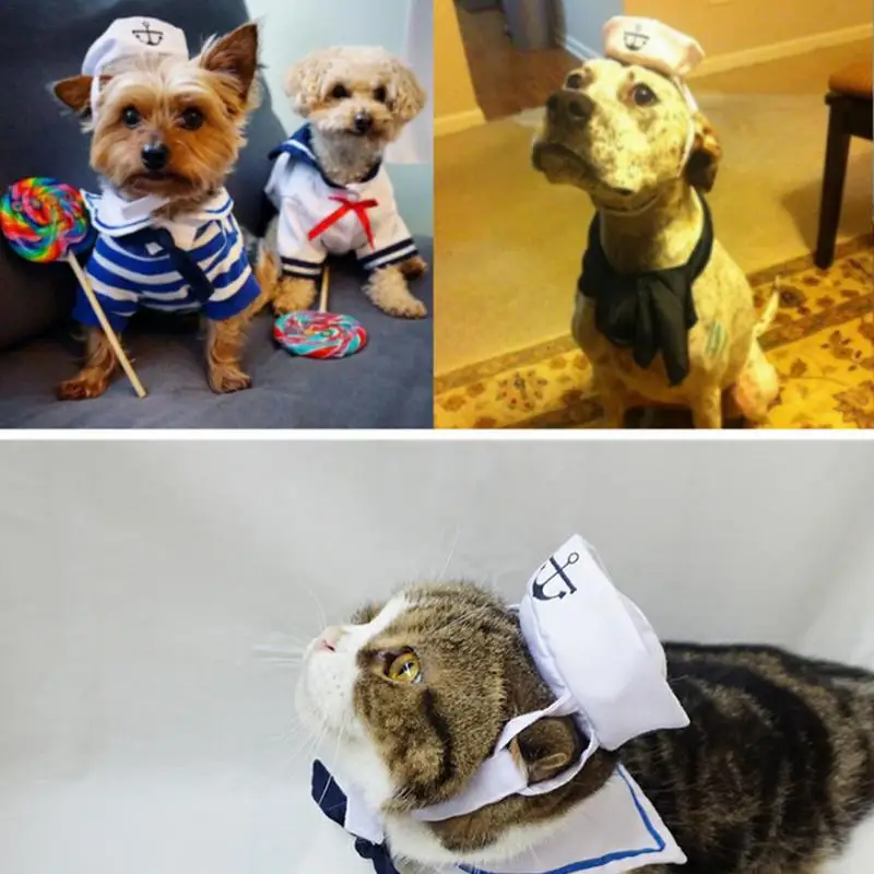 2018 Lovely Stylish Navy And Sailor Style Hat Plus Scarf Suit For Dogs And Cats Pet And E Navy Cloak