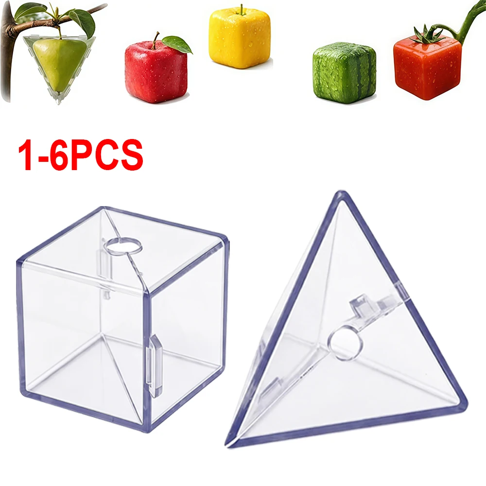 Gardening Tools Unique - 1-6Pcs Fruit Shaping Mold for Growing