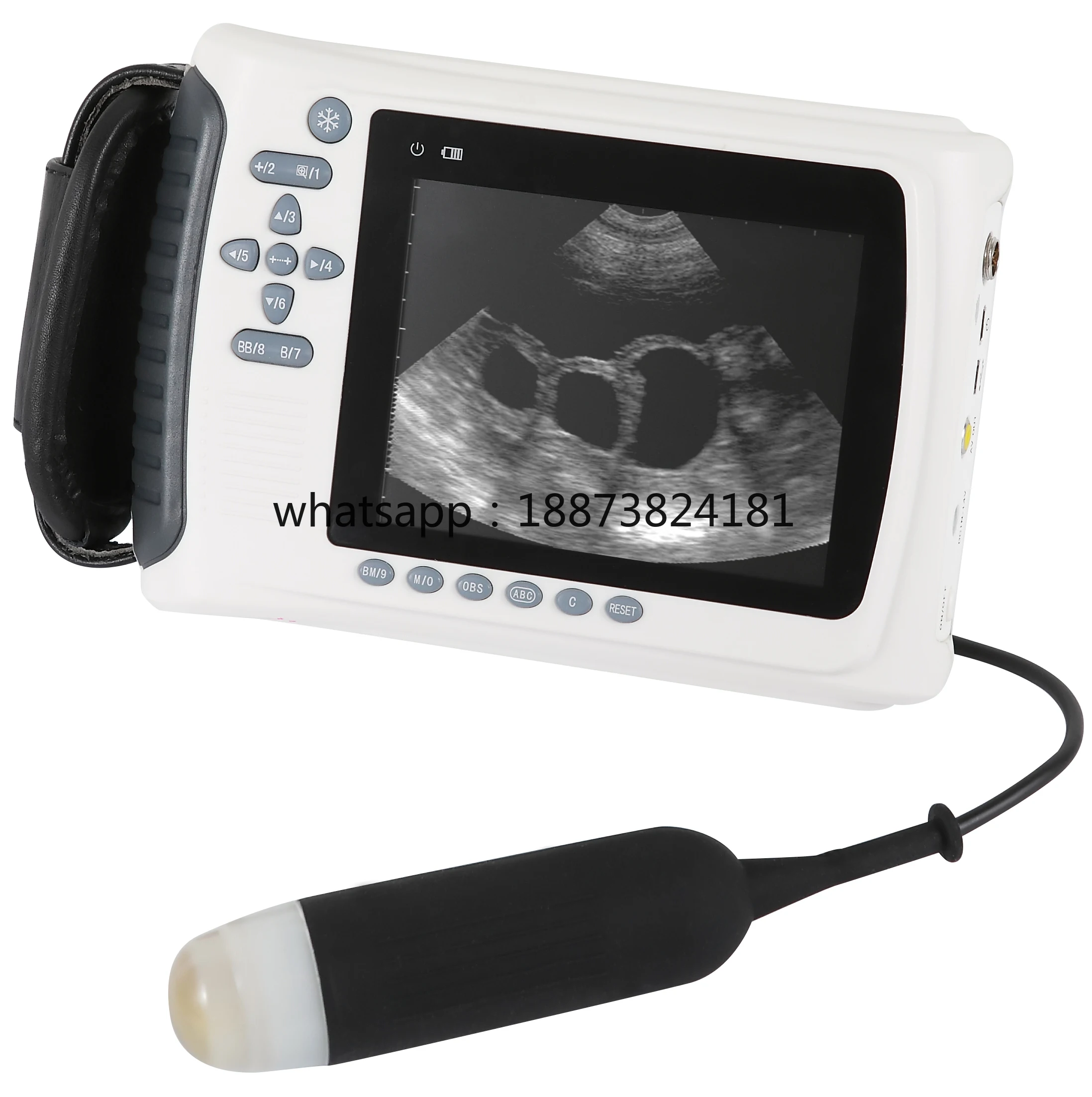 

Compact Veterinary Handheld Scanner for Small Animal Abdominal & Imaging
