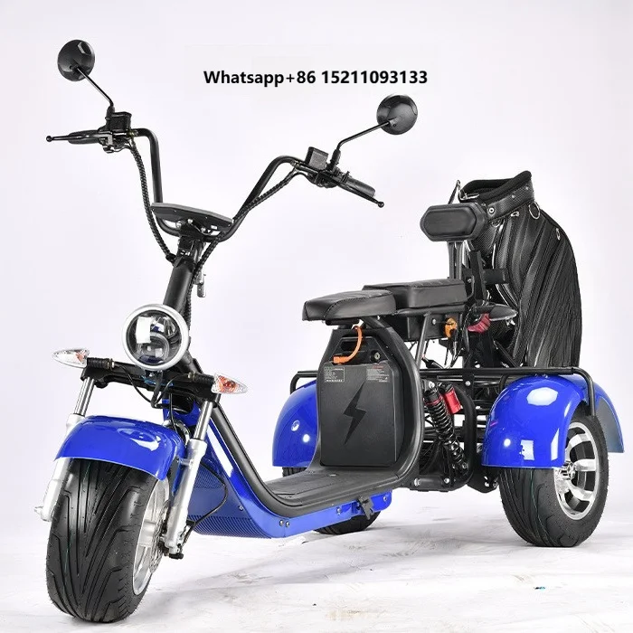 Eec Certification 3 Wheel Electric Tricycle 2000W Motor 60V 20-40AH Lithium Battery Open Double Seat 2 Passengers Powerful