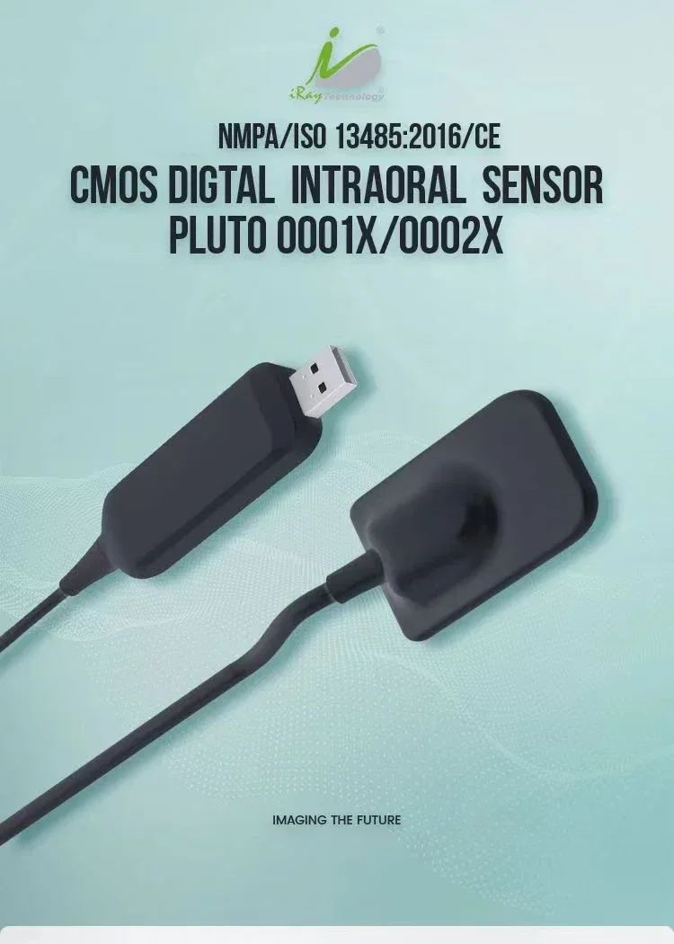 Vendita calda Sensore Ray X Pluto0001/0002 Rvg Digitale USB Originale RVG