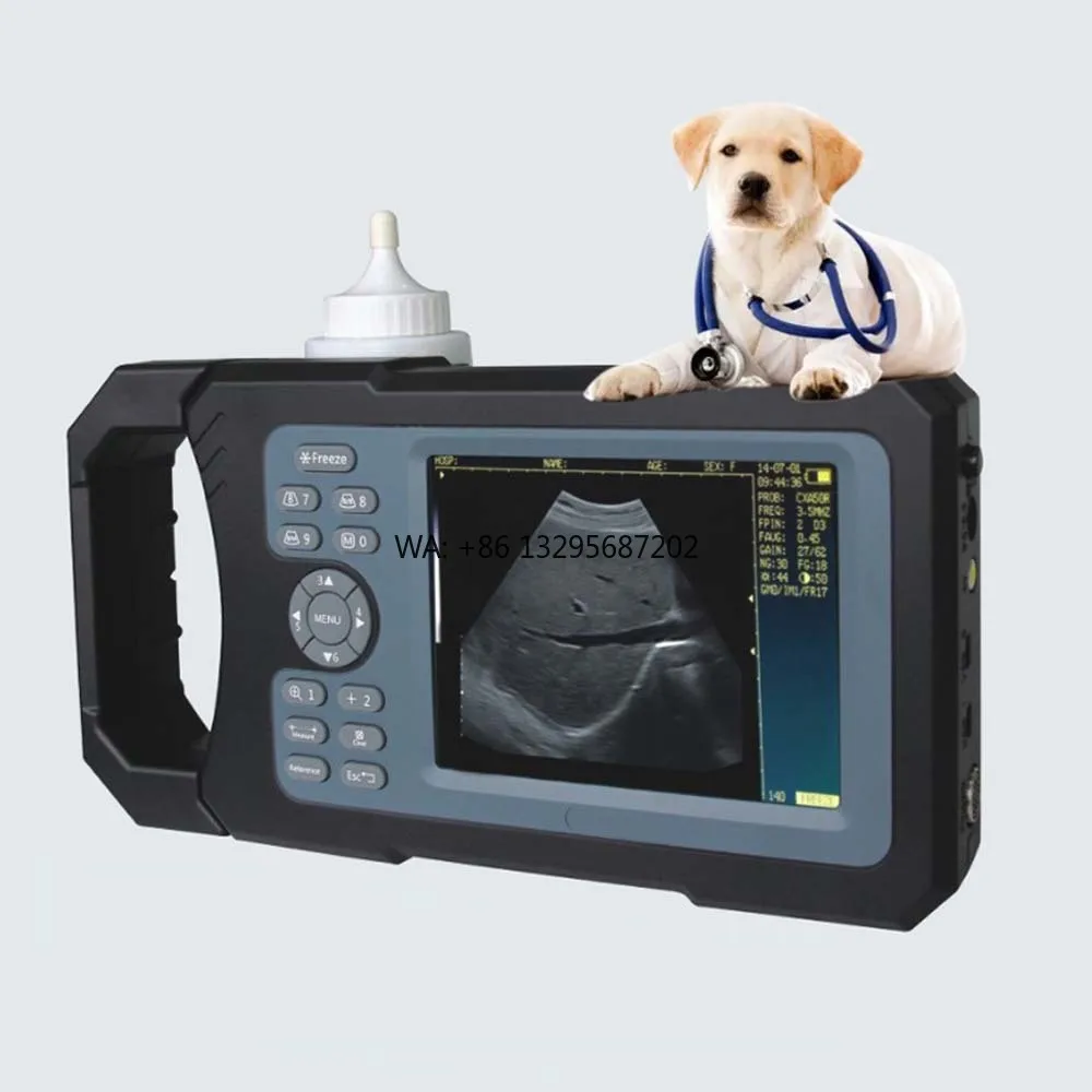 

Portable Veterinary Ultrasound Machine Scanner Veterinary Ultrasound for Cattle Horses Sheep Animals