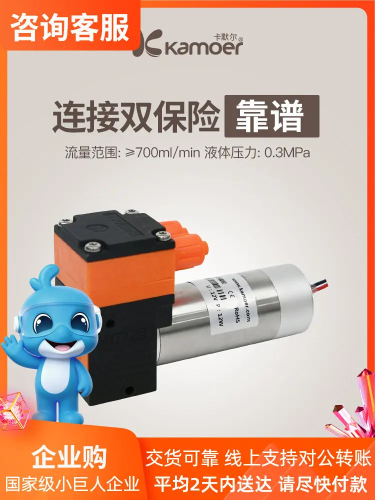 Kalmr High-Pressure 12V Diaphragm Pump KLP02 Acid-Resistant Miniature Reduced-Speed Oil Pump 24V Brushless Liquid Pump