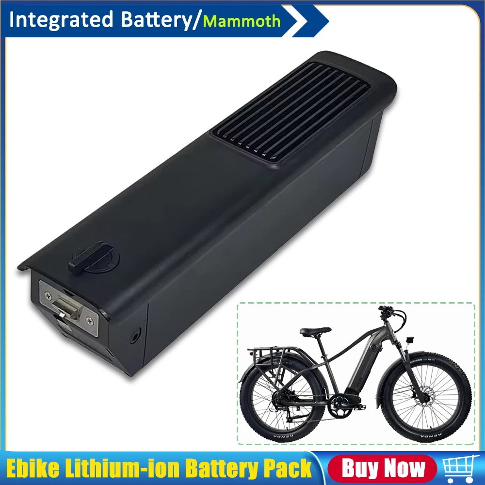 

Integrated 48V 20Ah Mammoth Intube Removable Lithium-ion Battery Pack for 750W 1000W TriHauler Cargo Fat Tire Etrike