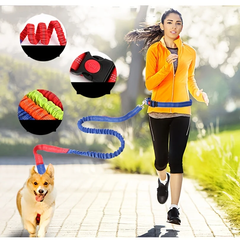 

Dog Leash Retractable Bungee for Hands-Free Running and Walking with Adjustable Waist Belt Pet Products Dog Accessories