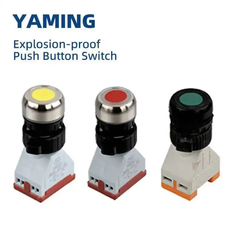 Saklar Tombol Tekan/Lampu Indikator Anti Ledakan 8097 EX 1NO1NC Catu Daya Kontak Perak Kotak Distribusi Operasi