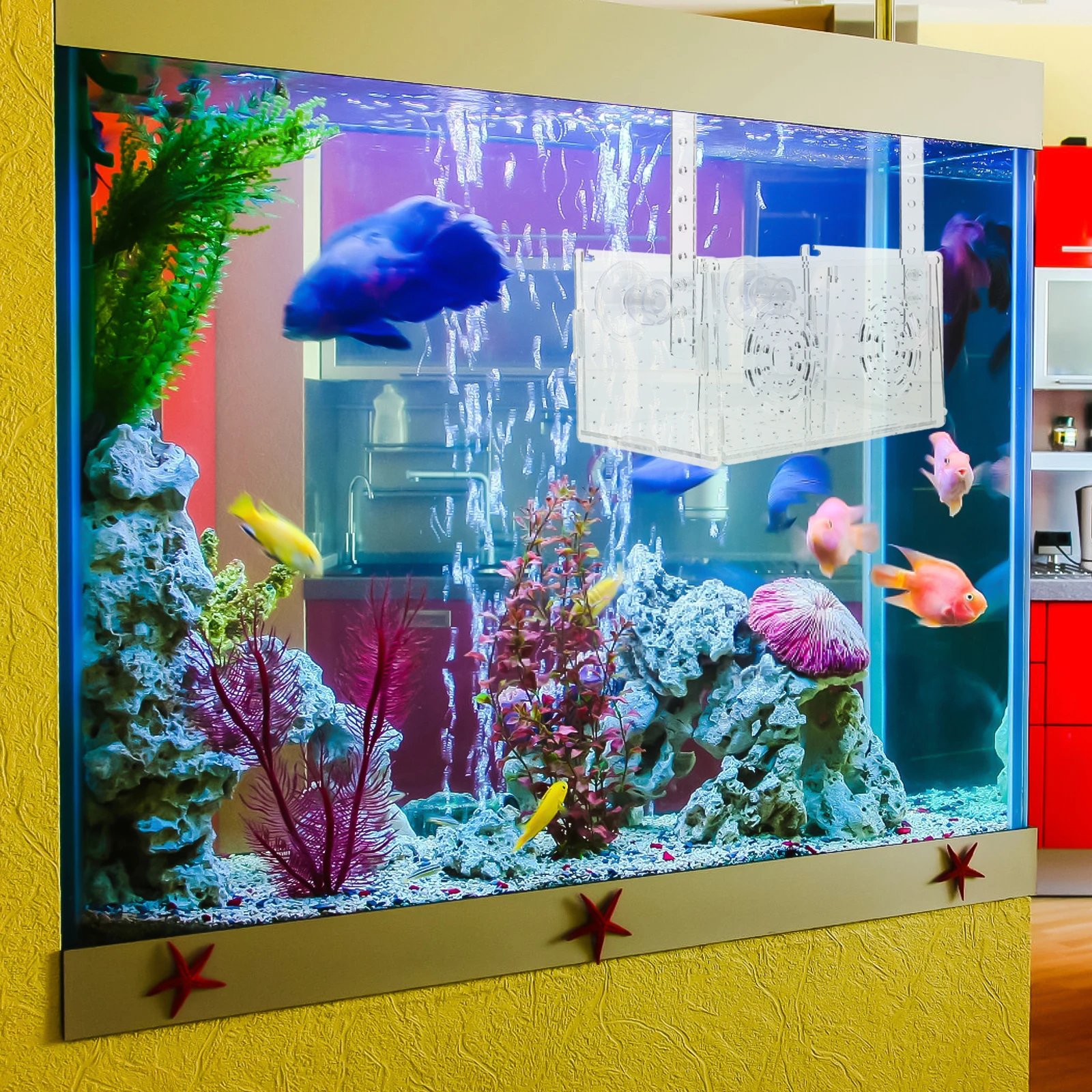 

Fish Tank Isolation Box Transparent Acrylic Aquarium Nursery Breeding Case for Betta Fish Shrimp Fry Separator Incubator