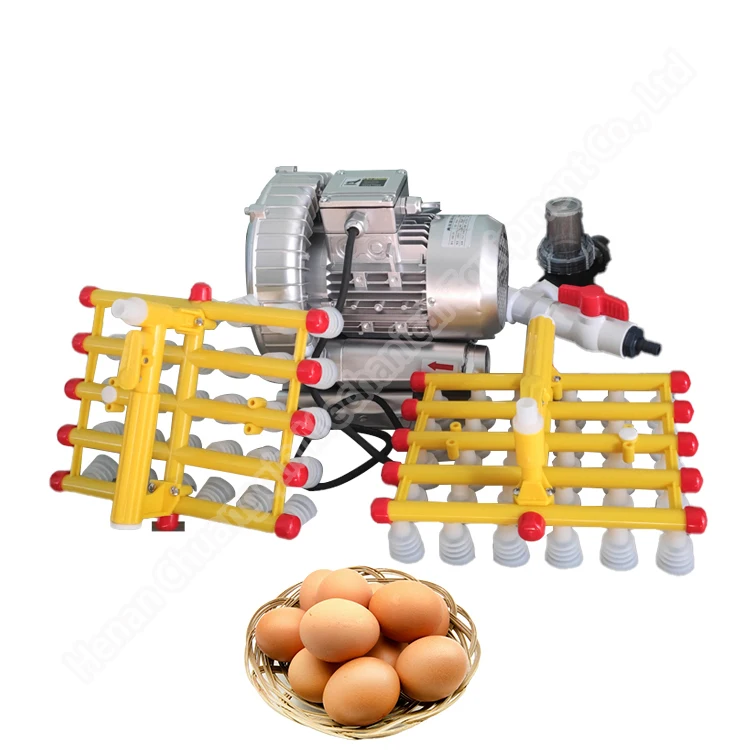 

Multifunctional Egg Suction Lifter Machine With High Quality