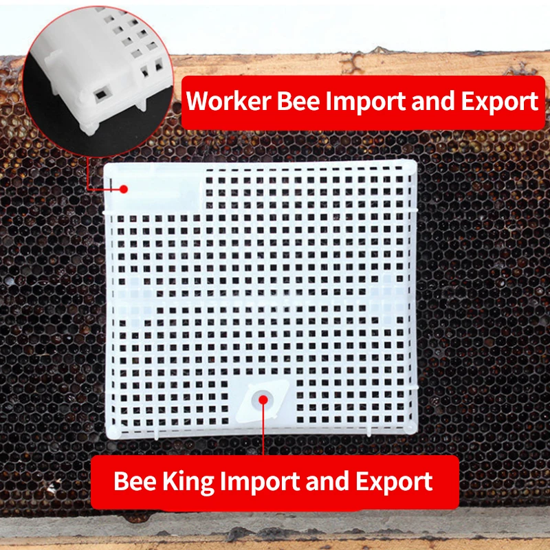 1 szt. Wielofunkcyjne wprowadzenie z tworzywa sztucznego duża przestrzeń nowe klatki królewskie plastikowe okrągłe płaskie narzędzia pszczelarskie z