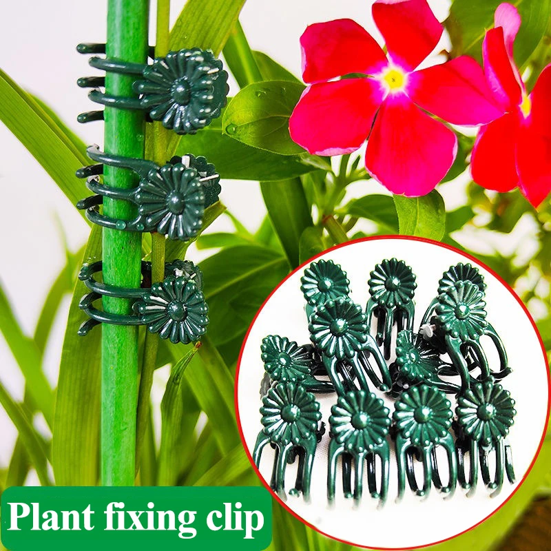 Orchid Stem Clip Plant Support Dark Green Plant Clips Vine Stem Flower Grow Upright Branch Clamp Garden Tool plant clips