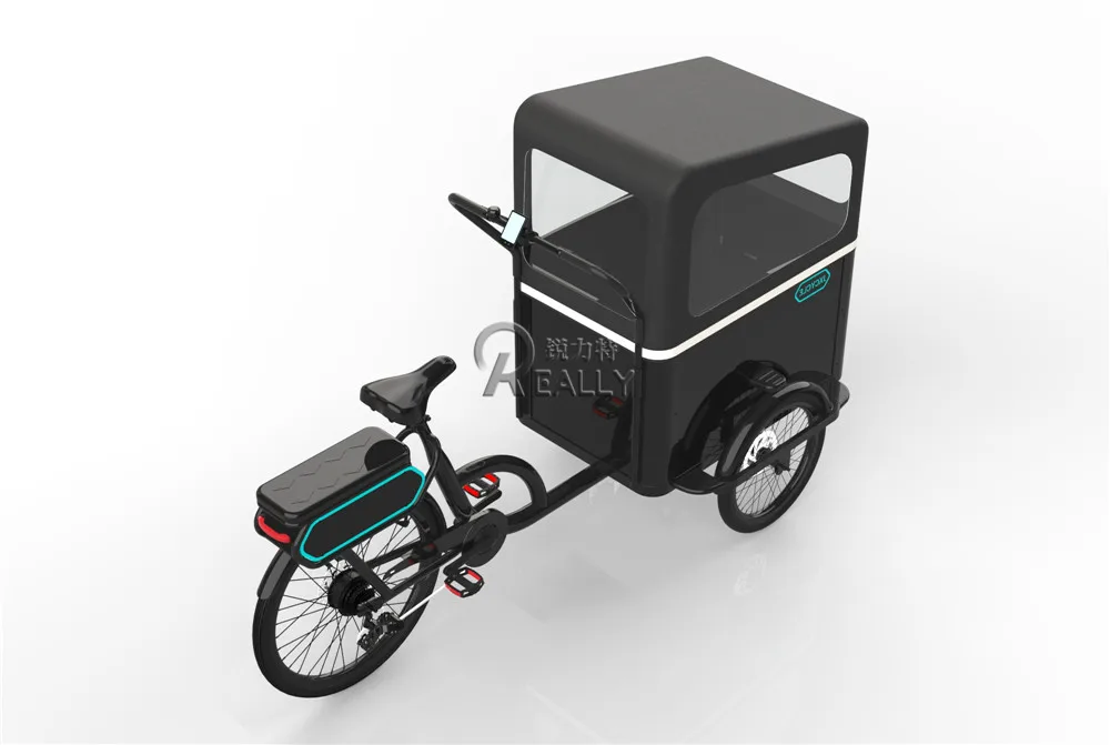 3 Wheel Electric Cargo Bike Shopping Tricycle Family Used Pedal Kids Adult Tricycle Aluminum Frame