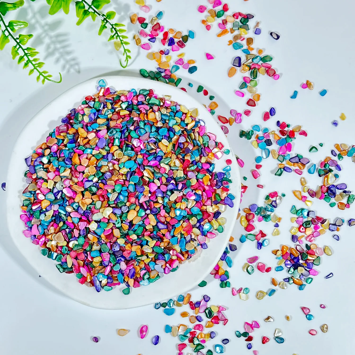 50g/100g Vibrant Crushed Shell Stones,Aquarium Landscape,Irregular Shape Colored Natural Shell Mosaic Particles ,Fish Tank Decr