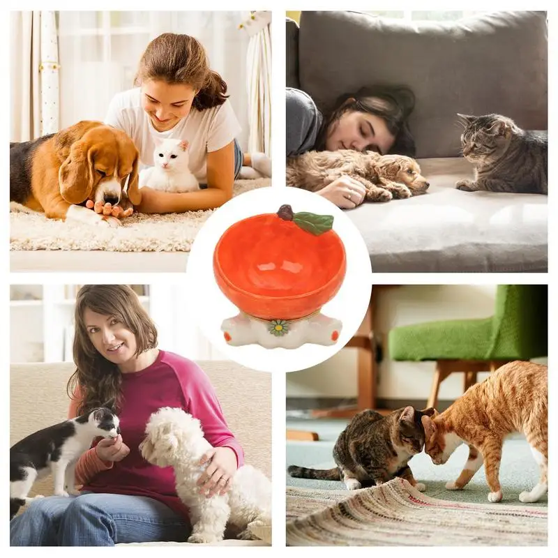 Raised Bowl For Cats Ceramic Tilted Food Bowls With Fruit Shape Dogs Drinking Eating Supplies Raised Tilted Cats Puppy Feeding