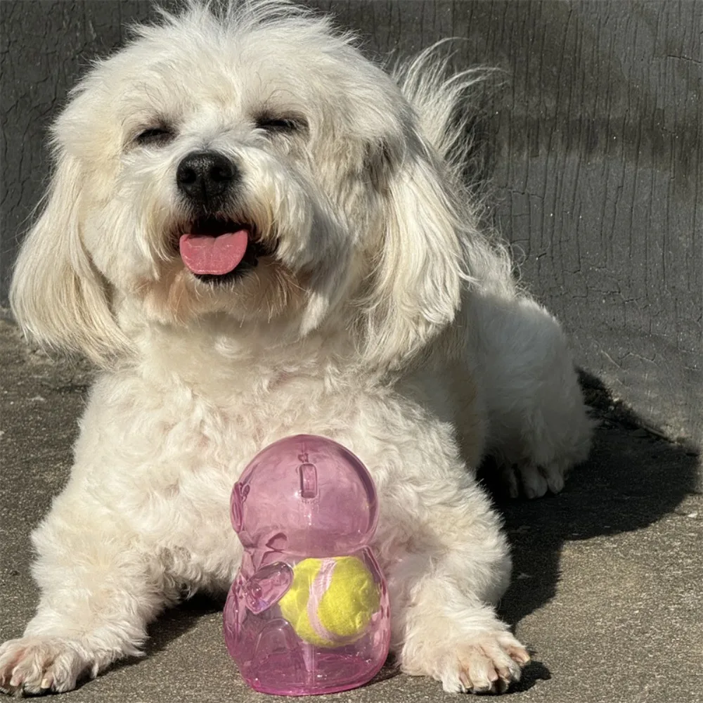 

Funny Bite Resistant Dog Chewing Toy Bear Shape Sound Production Puppy Toy Ball with Tennis Dog Teething Treats Balls Exercise