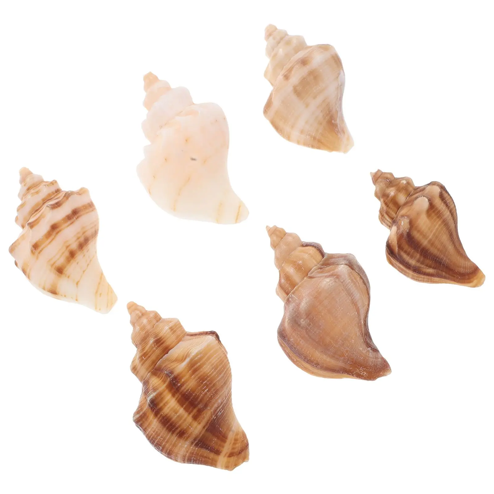 

6 Pcs Conch Shell Crab Replacement Fish Tank Decor Aquarium Shells Coastal Decor Bedroom Sea Shell Bathroom
