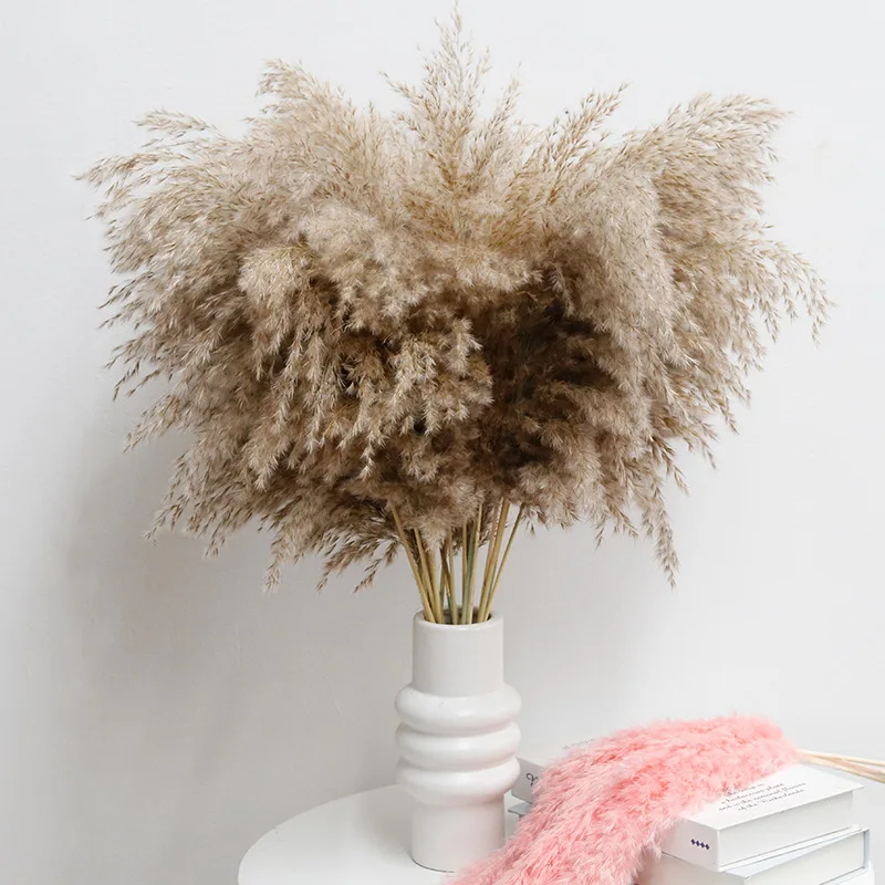 10pcs Pampas Grass Dry Flowers Wedding Dried Flower Bouquet Ornaments for Home Decorations Tv Table Props Pampa Parties Decor