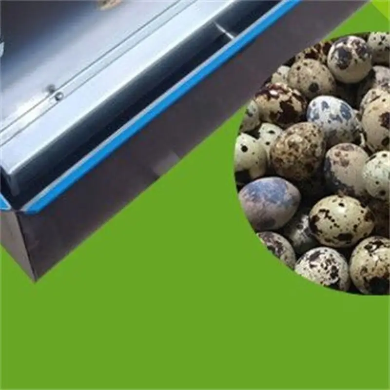 

Small Automatic Chicken Egg Shelling Machine