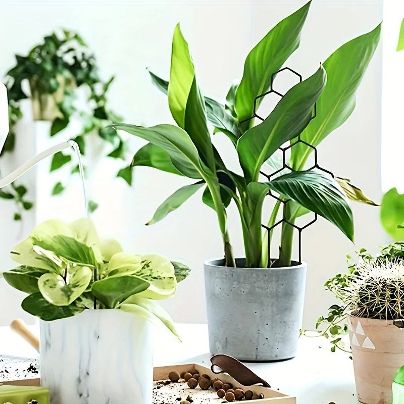 

Decoration Indoor Outdoor Potted Ornament Garden Arrangement Plant Trellis Leaf Shape Bracket Vine Climbing Support