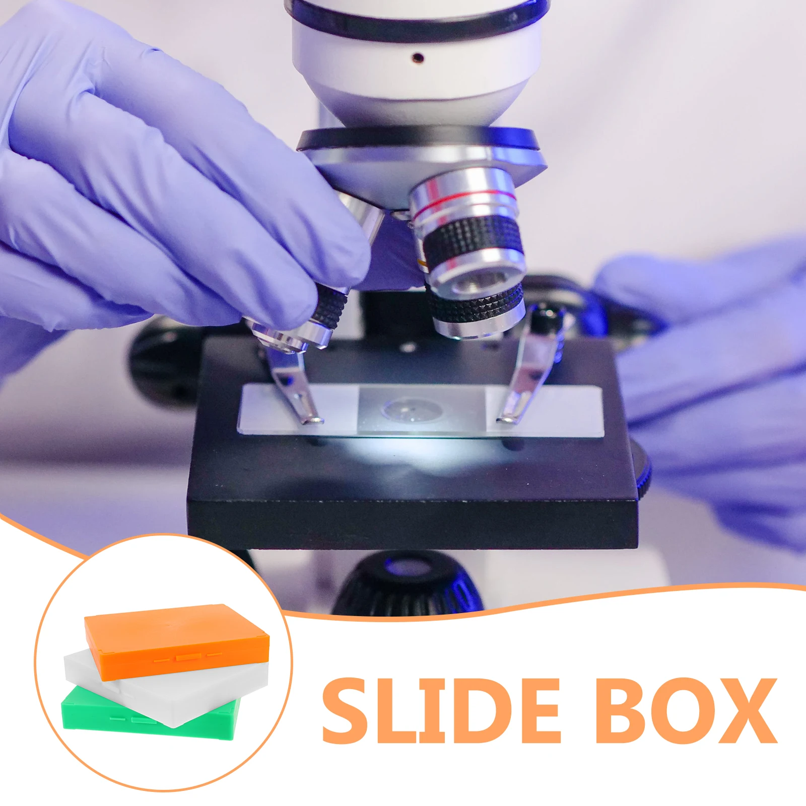 

3 Pcs Microscope Slides Case Tray Accessories Cabinet Laboratory Supply