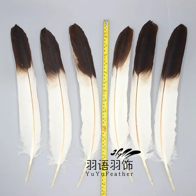 1 pz Rare Eagle Feather Bow and Arrow Feather Rare Horse Eagle Feather artigianato campione piuma piume naturali