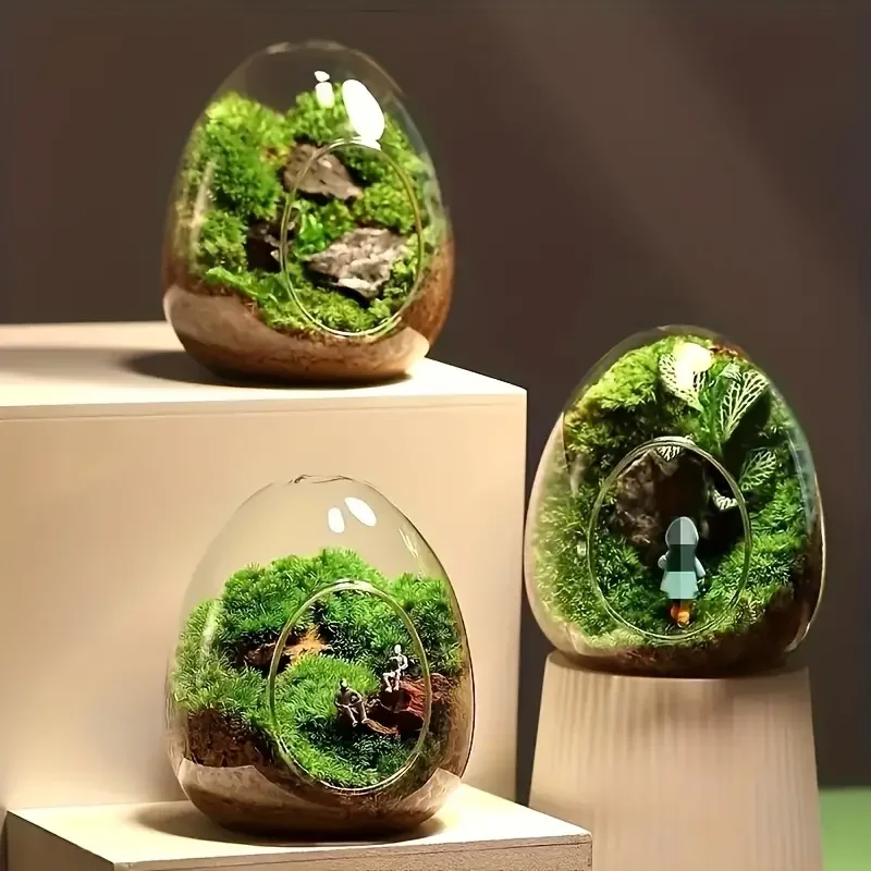 1pcs Ecological Bottle Egg Shaped Glass Landscape Bottle Diy Micro-Landscape Succulent Moss Ecological Bottle Desktop Ornament