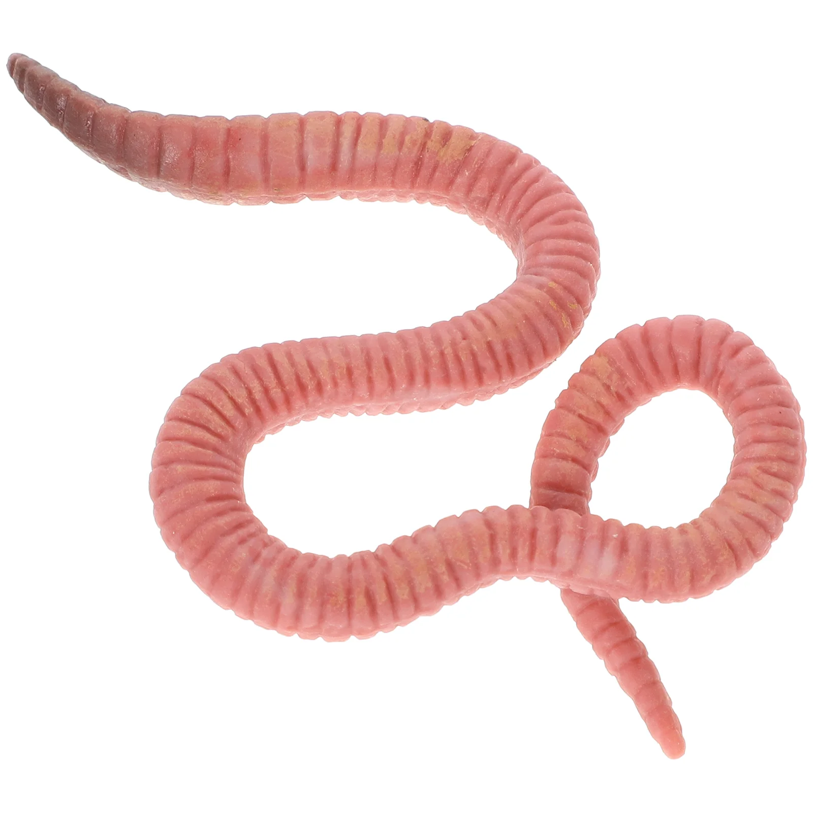 

Earthworm Model Toy Small Insects Statue Fake Recognition Artificial Lifelike Simulation Plastic Figure Child