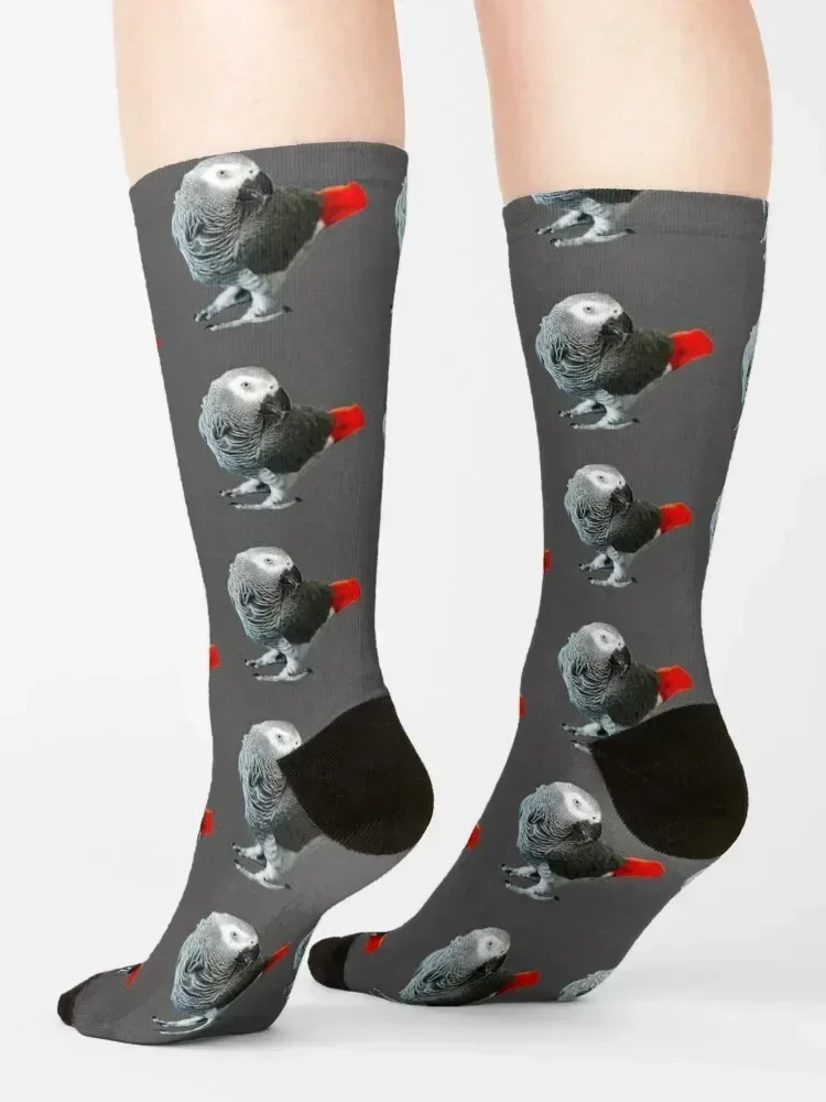 African Grey Parrot Socks kawaii happy funny sock New year's Socks Men's Women's