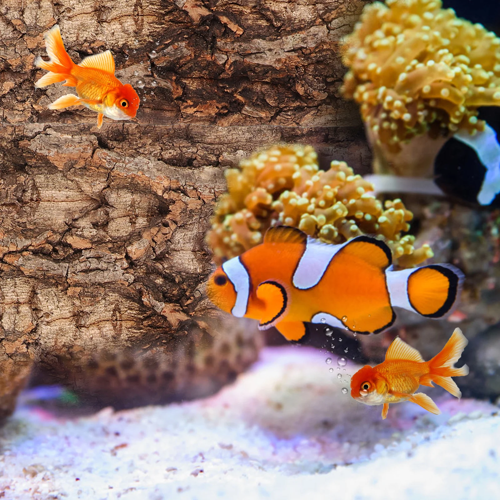 

3pcs Natural Terrarium Bark Background Fish Tank Wall Decoration Reusable Reptile Tank Accessories Aquarium Bark Craft Ornament