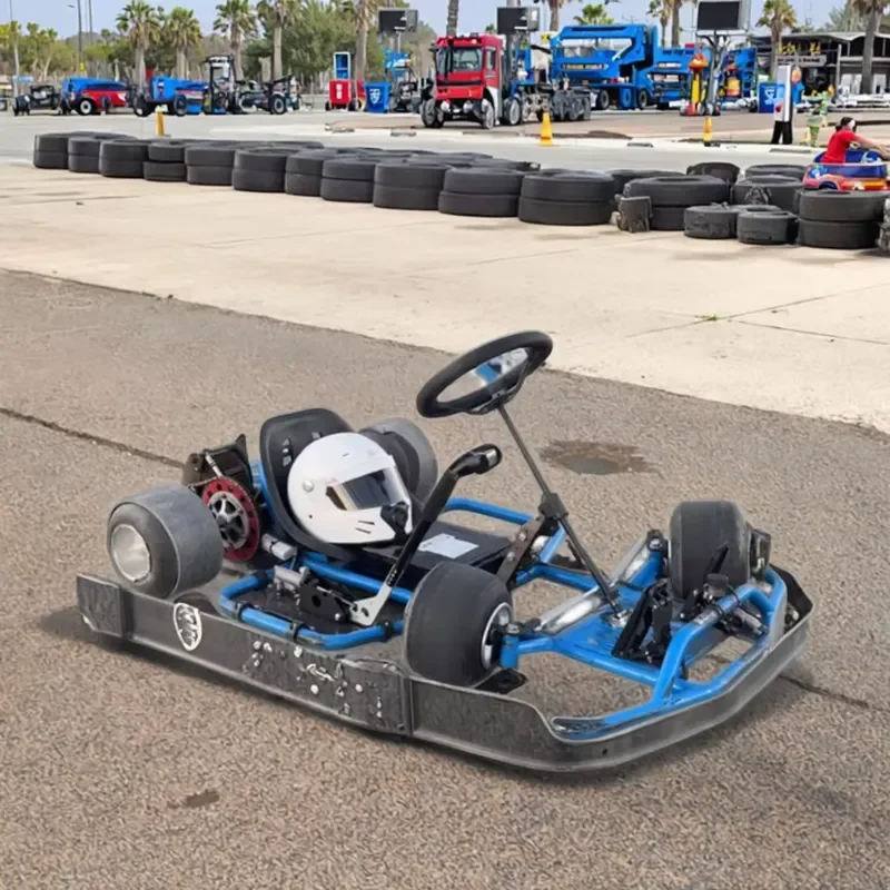 Sprite 212cc 4-Stroke Drift Go Kart 50km/h Racing Kart for Adults & Teens Pedal Buggy 200kg Load Outdoor Off-Road