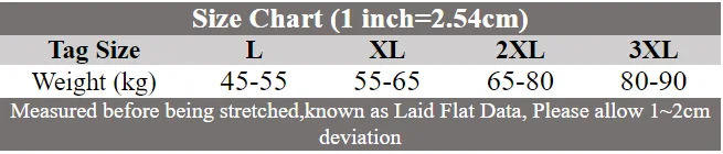 Sossy Slipje Kant Borduren Kameel Teen Ondergoed Mannen Sexy Verbergen Gaff Korte Sissy Lingerie Feminisering Crossdressing Onderbroek