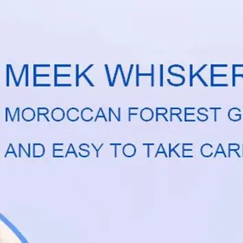 60 جرام بلسم اللحية للرجال شعر الوجه شمع نمو اللحية سماكة ترطيب مغذي كريم الشارب الاحترافي العناية باللحية